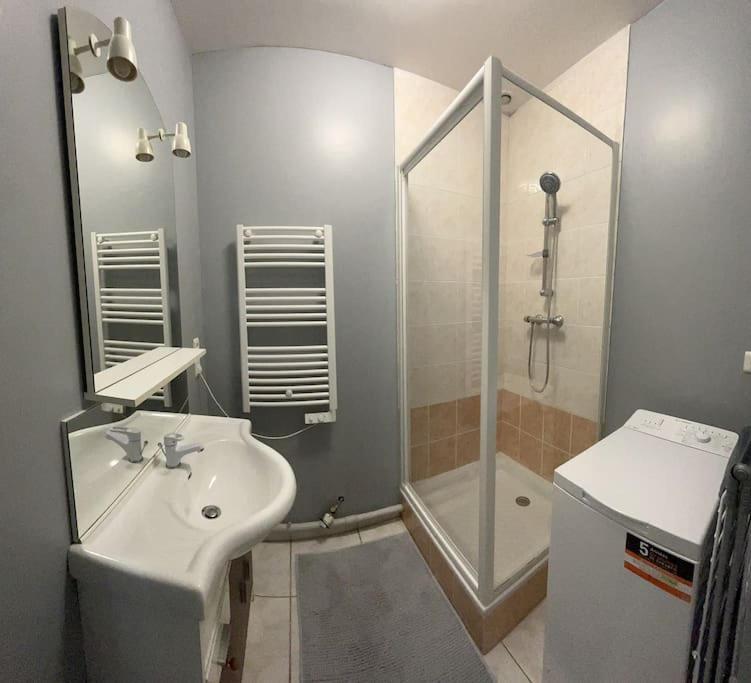 Appartement 1 Chambre Rue Faubourg De Besancon Montbéliard Exterior foto